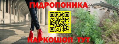 гидропоника Кинель