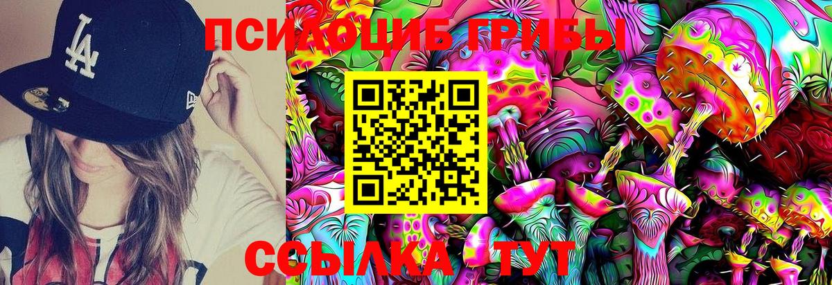 Псилоцибиновые грибы GOLDEN TEACHER Королёв